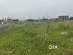Residential Plot for Sale in panduru