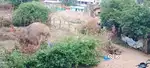 70 Gajaalu Rs 8,50,000 total 140 yards: land for sale