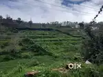 Lands and Houses for sale.  Room for rent