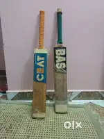 English willow cricket bat