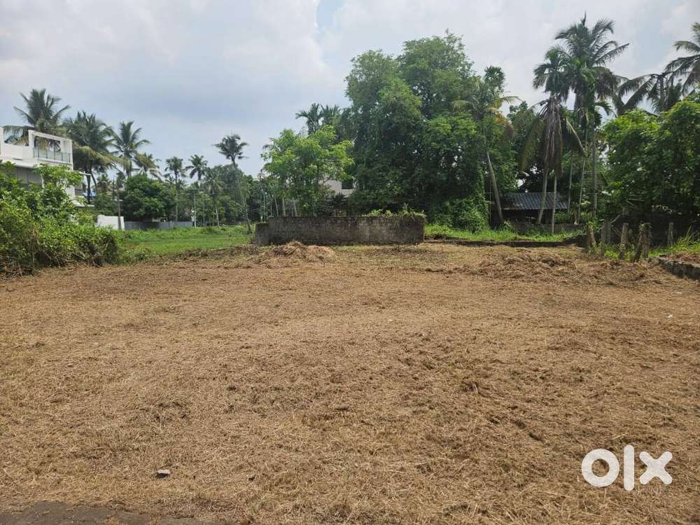 9 cent ,6 cent, 3cent Residential plots  For Sales at  Eroor