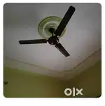 Seeling fans orient company quantity-04