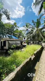 13 or 6 cent land for sale at Thodupuzha House plot in thodupuzha town
