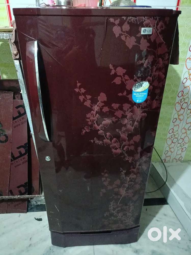 Fridge is in good condition having all necessary things in it