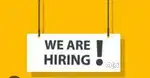 Sales Executive
