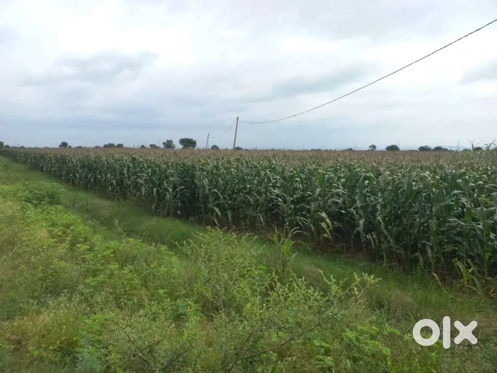 6 acers of agriculture land for sale and one acer cost 55 lacks