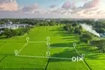 There are different size of plot are available