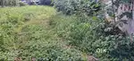 കാരാപ്പുഴ പറക്കുളത്തിന് സമീപത്തായി 15 സെന്റ്