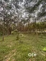 land for sale near silverstorm , athirapilly road