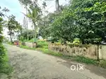 26 CENT ORGINAL LAND IN EDAPALLY NEAR KOONAMMAV N-H JUST 600 MTR