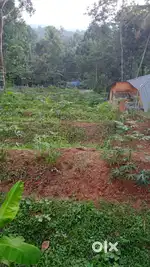 Plot for sale