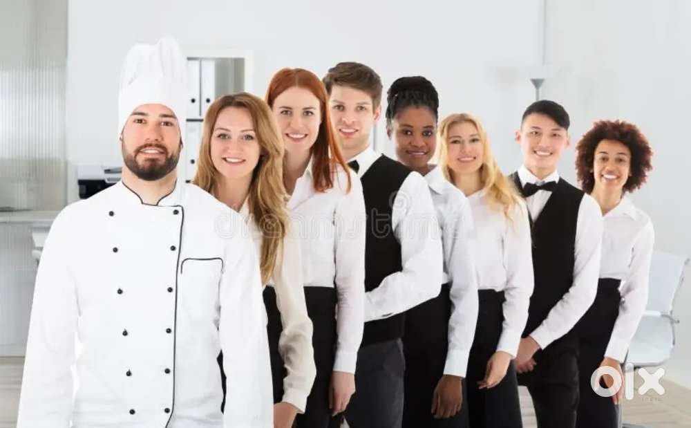 Urgent vacancy for restaurant staff - Calangute