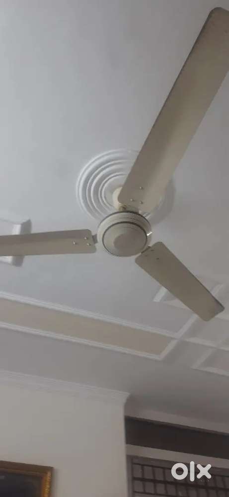 Polar celling fans