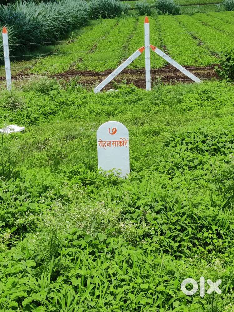 Plot for Sale in Shiroli