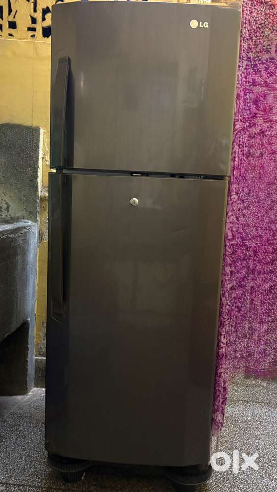 LG 250 liters double door fridge with fridge stand