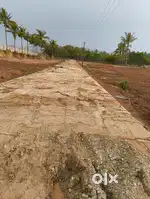 PLOTS FOR SALE NEAR IIIT ROAD