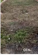 Plot for sale in Shanti nagar