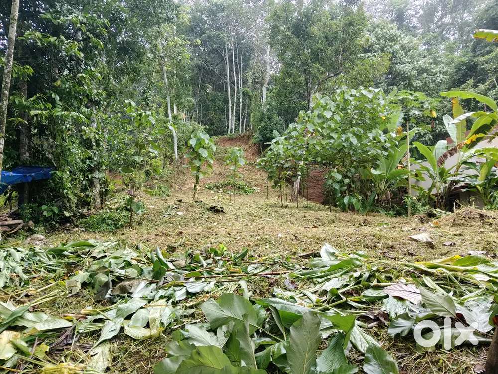 വസ്തു വിൽപനക്ക്