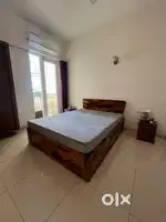 Queen Bed and Mattress