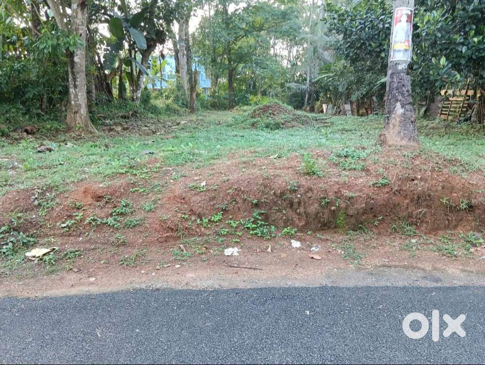 10Cent Residential Plot for sale at Pathanapuram near Veterinary Hsptl