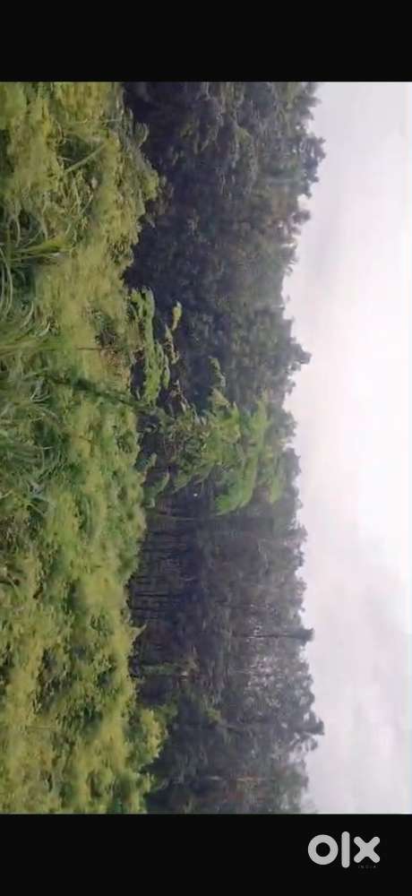 Mannarkkad 3.50 acers near to new hilte Mall