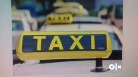 Tourist Taxi Driver