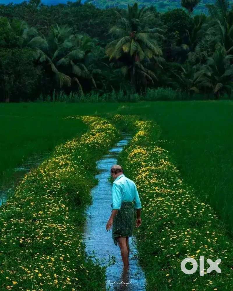 Housemaid FullTime at Ulloor. Trivandrum