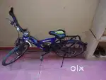 6 months old  cycle