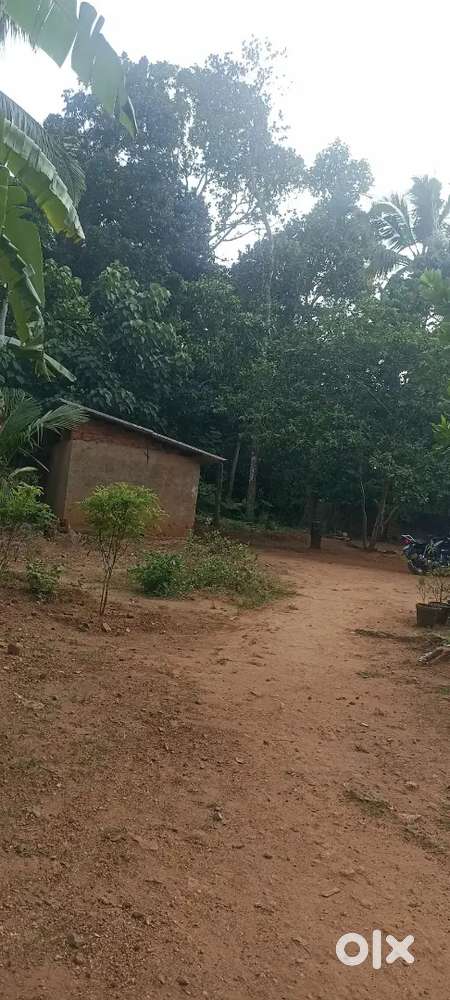 5,8 cent for sale ooruttambalam