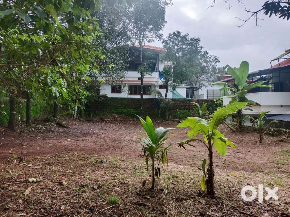 13.61 cent Plot Available for sale in Thalassery Thiruvangad