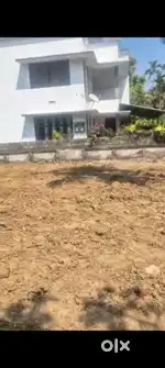 05 cents Land