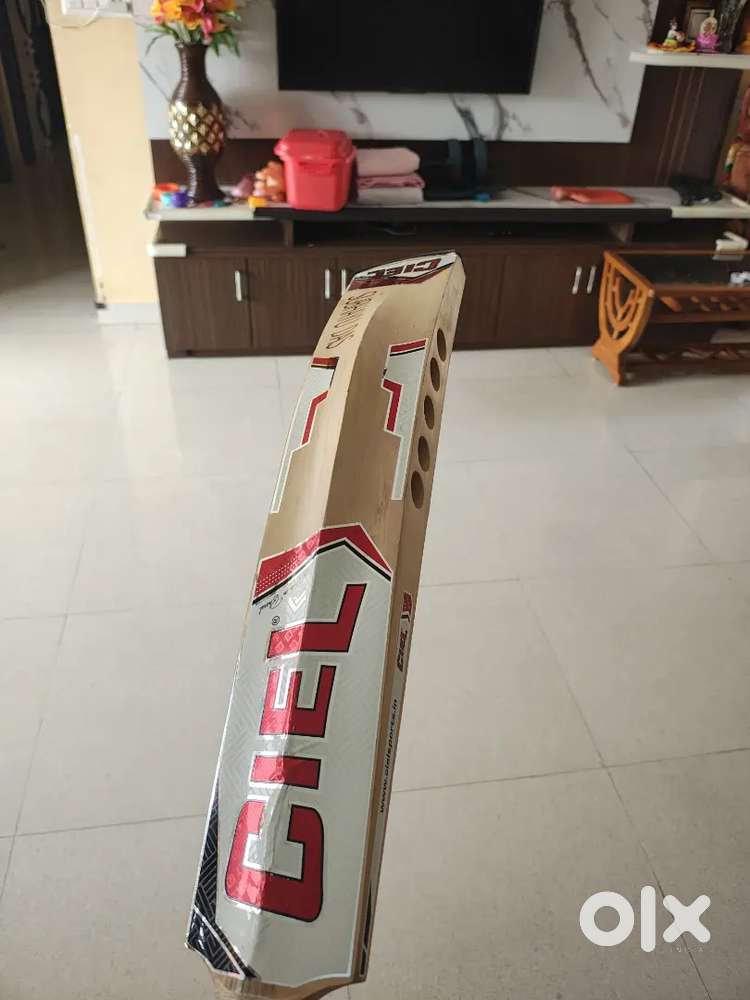 Ceil Sports Bat Latest Edition