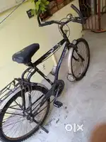 MTB HERCULES