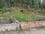 148 or 100 Sq Yards( 148 or 100Gaj) plot in Asthal for sale