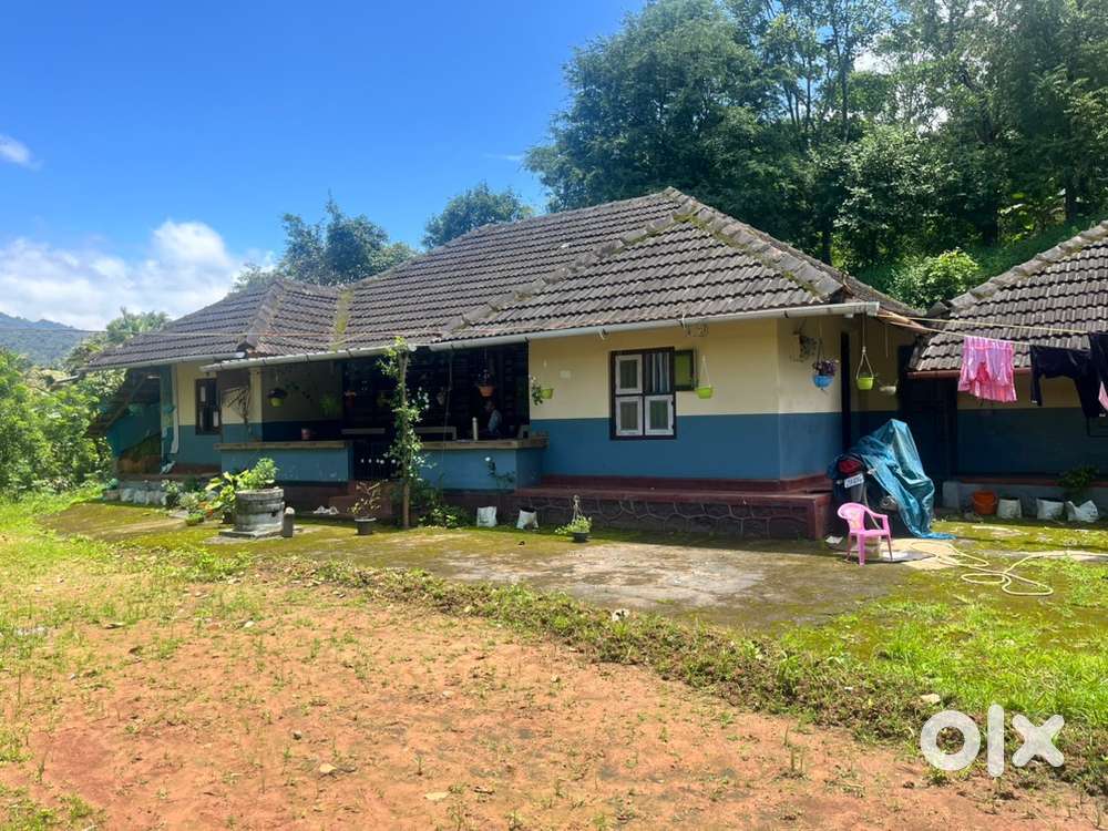 Wayanad tirunelli 2.4 acre dryland &2 acre wet land with house selling