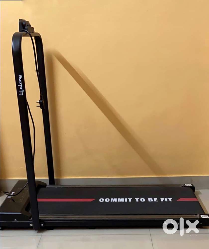 Lifelong Treadmill