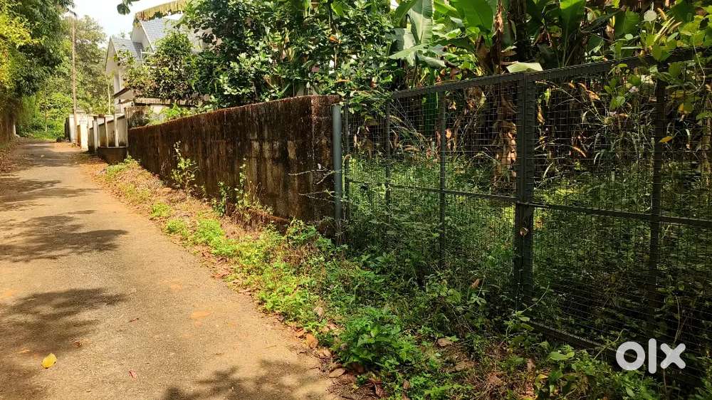 10സെന്റ് നമ്പ്യകുളം