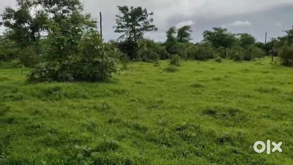 20 Guntha agriculture land 52 lakhs only, Neral-Karjat