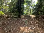 4.30 cent commercial plot for sale near nadakkavu