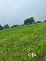 Plot 5500 square feet  Shyam Trai Dhamtari