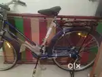 Student cycle