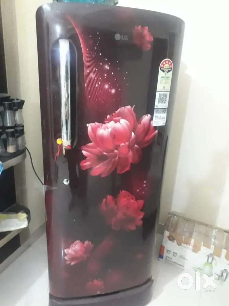 6 month old 224 Ltr LG Fridge