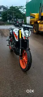2019 modle