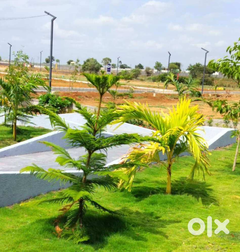 Investment-Ready DTCP Approved Residential & Commercial Plots