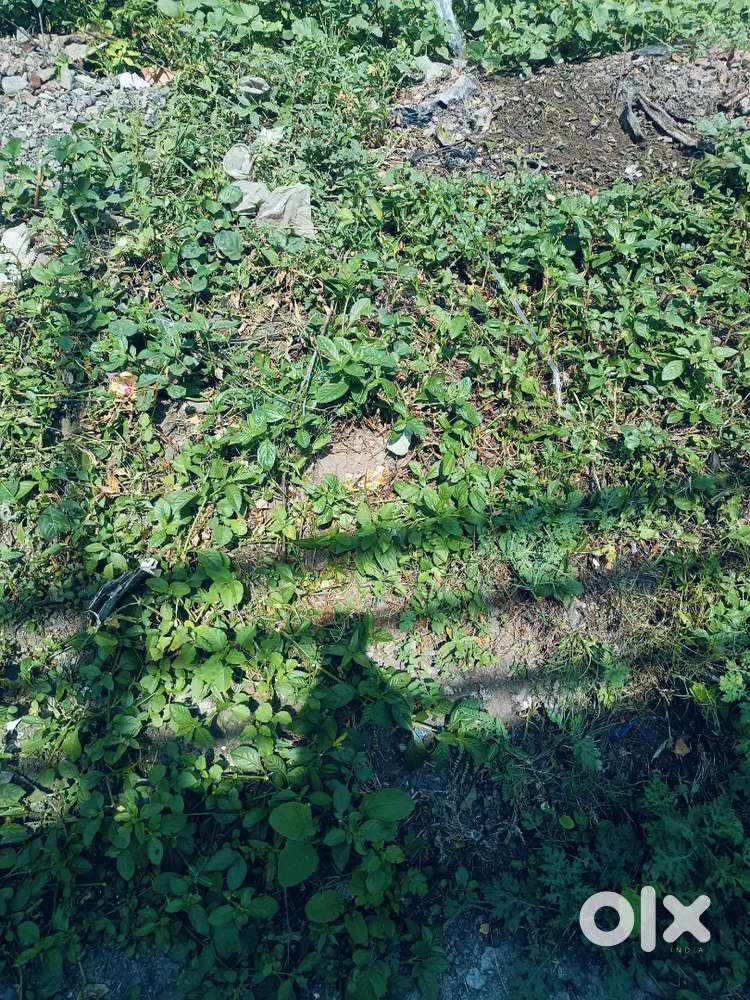 Sai Nagar Small plot good location.