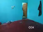 Roommate need