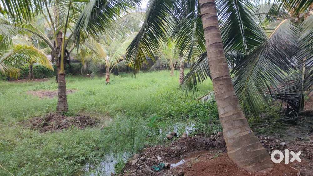 46 cents of residential plot for sale at Thoppumpady.
