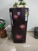 Fridge refrigerator