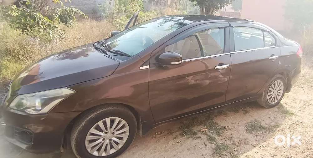 Maruti Suzuki Ciaz 2016 Diesel Well Maintained
