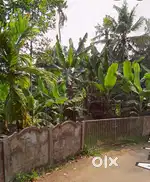 Plot for Sale – Mattupuram, Manjali